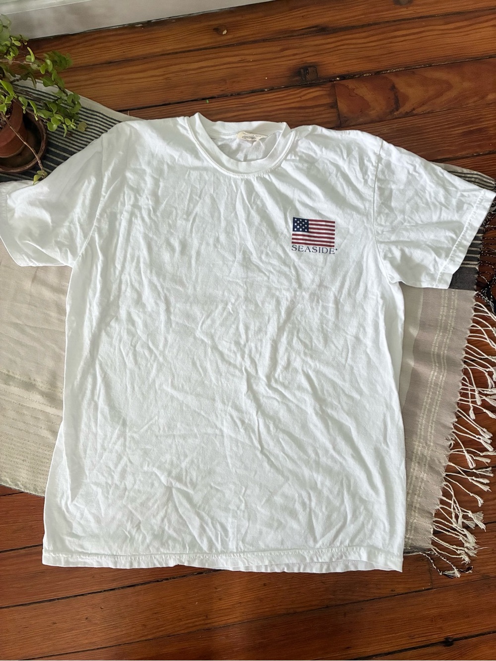 Seaside Florida 4th of July T Shirt